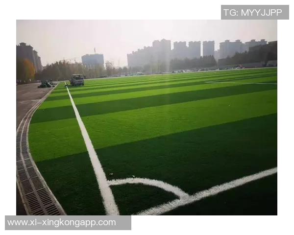 天然草坪足球场画线技巧与注意事项全面解析 天然草坪足球场画线技巧与注意事项全面解析